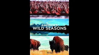 Времена года в дикой природе Америки / America's Wild Seasons 4K, сезон 1 серии 4  Зима