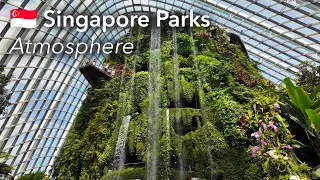 🇸🇬 Singapore Parks Atmosphere in 4K: Gardens by the Bay, Cloud Forest and Flower Dome