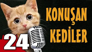 Konuşan Kediler 24 - En Komik Kedi Videoları