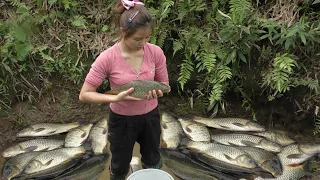 Catching wild fish | Use a water pump to catch fish in a wild lake | fishing technique Ep27