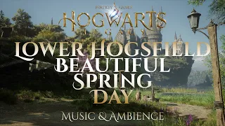 Beautiful Spring Day in Lower Hogsfield | Hogwarts Legacy Harry Potter Ambience
