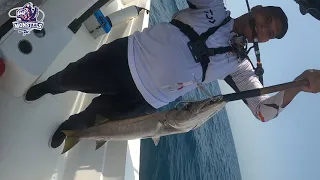 Monsters Team - Jigging trip to the south of the Qatar Sea