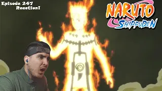 NARUTO SHIPPUDEN EPISODE 247 REACTION! ( Target: Nine Tails )