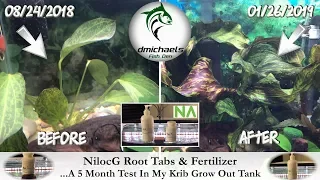 Switching To NilocG Root Tabs & Fertilizer...A 5 Month Test In My Krib Fry Tank