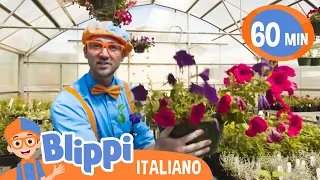 Blippi osserva le piante crescere: impara colori | Blippi in Italiano | Video educativi per bambini