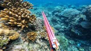 BUNGA NG PAG TITIYAGA | ISLAND LIFESTYLE ❤️ #spearfishingPhilippines #gopro