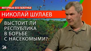 О нашествии гусениц, саранчи и массовой гибели пчел в Татарстане/ доцент КФУ Николай Шулаев