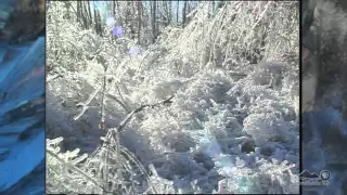 Natural Disaster in Upstate New York: A 1998 Ice Storm Retrospective