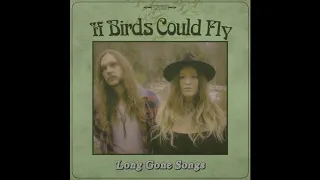 If Birds Could Fly- Rock N' Roll Love