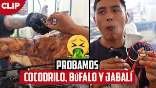 ¿A QUE SABE EL COCODRILO, AVEZTRUZ, JABALÍ Y BÚFALO? 🤢🐊🐗 || CDMX | 2022