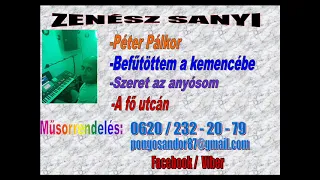 Zenész Sanyi   Extra lakodalmas 2023