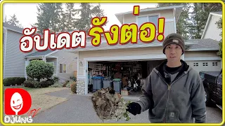 ตกใจ! ยิ่งกว่าเดิม แต่ยังโชคดีครับ WA, USA I DjungTV EP.261