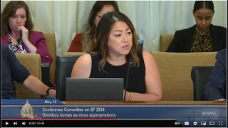 Conference Committee on SF 2934 - Omnibus Human Services Appropriations - 05/16/23