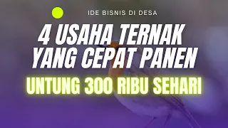 4 USAHA TERNAK YANG CEPAT PANEN UNTUNG 300 RIBU SEHARI YANG MENJANJIKAN! Peluang Usaha Peternakan