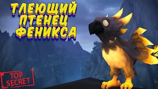 ТЛЕЮЩИЙ ПТЕНЕЦ ФЕНИКСА - как получить секретного питомца в World of Warcraft: Dragonflight #wow