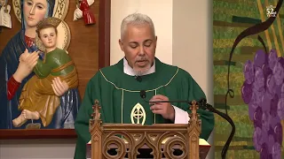 The Sunday Mass Homily - 9/17/2023 - 24th Sunday of Ordinary Time