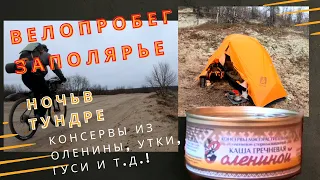 Ночь в тундре/велотуризм заполярье/обзор туристического снаряжения