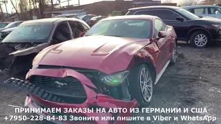 Два Ford Mustang 2019 г в  Осмотр перед отправкой из Нью Йорка во Владивосток