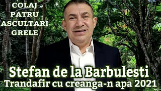 Stefan de la Barbulesti ❌ Trandafir cu creanga-n apa 2021 COLAJ PATRU ASCULTARI GRELE FARA DEDICATII