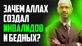 Если Аллах справедлив, то зачем он создал бедных и инвалидов, чтобы они страдали? - Закир Найк