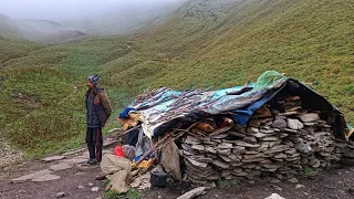 Best Life in The Nepali Himalayan Village During The Rainy Season  । Best Shepherd Life Compilation