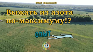 Выжать из азотных удобрений по-максимуму! Но как?!