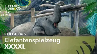 Elefantenspielzeug XXXXL (Folge 865) | Elefant, Tiger & Co. | MDR