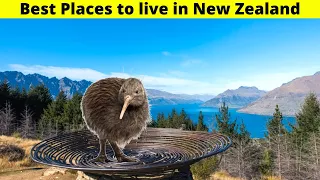 10 Best places to live in New Zealand (2021 Guide)