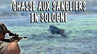 Wild boar hunting in Sologne