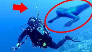 5 Mysterious Underwater Creatures Caught on Camera & Spotted in Real Life