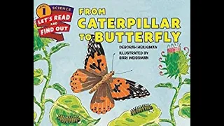 From Caterpillar to BUTTERFLY