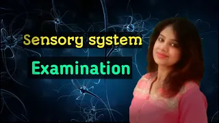 Sensory system examination