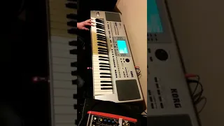 Bielyje Rozy - Korg Pa50