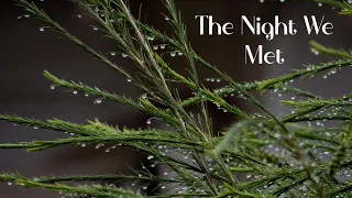 the night we met + rain | headphones required |