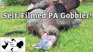 PA Spring Gobbler Turkey Hunt 2017 (Ep. #2) "Timber Echo" - Ridge Raised Outdoors