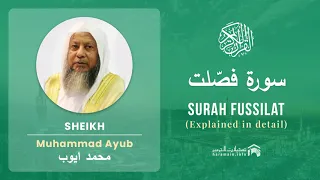 Quran 41   Surah Fussilat سورة فصّلت   Sheikh Mohammad Ayub - With English Translation