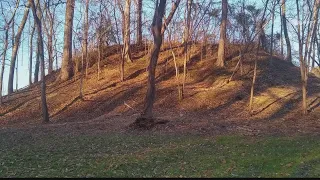 History of the Wateree River Mounds