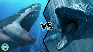 MEGALODON VS MOSASAURUS - Who Would Win?