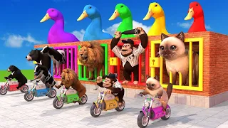 Long Slide Game With Duck, Cow, Chicken, Dog, Giraffe, Lion- 3d Animal Game- Run From Cage Challenge