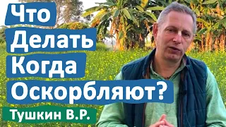 ЧТО ДЕЛАТЬ КОГДА ОСКОРБЛЯЮТ? • ВАСИЛИЙ ТУШКИН