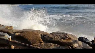 Moffat Beach surf