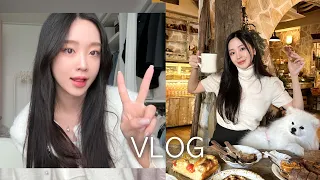 [VLOG] 입 터진 한나네 연말 먹부림 일상🎊｜압구정 핫&신상 맛집 투어🍝｜프랑스 현지st 베이커리｜개성주악｜엽떡｜런던 베이글🥯｜생일파티🎂｜블라인드 설치｜1인 쇼핑몰 사장