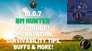 10.0.7 BM Hunter PVE Guide! DPS Rotation, Survivability Tips, Buffs & Others! WoW Dragonflight.