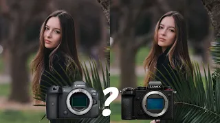 Blind Test: Lumix S5 Sigma 85mm F1.4 vs Canon R6 RF85mm F1.2 L (Can you guess all correctly?)