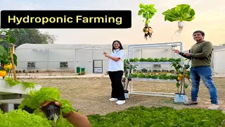 बिना मिट्टी हाइड्रोपोनिक खेती || Hydroponic Farming Economics || Vertical Farming || Hello Kisaan