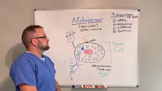 Covid-19 Series: Molnupiravir (Merck Covid pill) Mechanism of Action