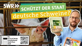 Fleisch aus guter Haltung – brauchen wir das staatliche Tierwohllabel? I Ökochecker SWR