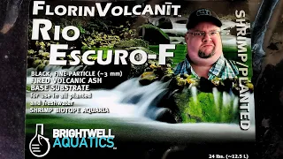 Aqua Soil with No Ammonia Leaching - Is That Possible?! Brightwell Substrate Review