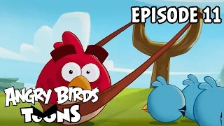 Angry Birds Toons | Slingshot 101 - S1 Ep11