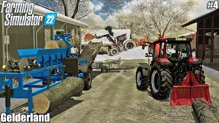 Removing SNOW and making FIREWOOD│Gelderland│FS 22│4